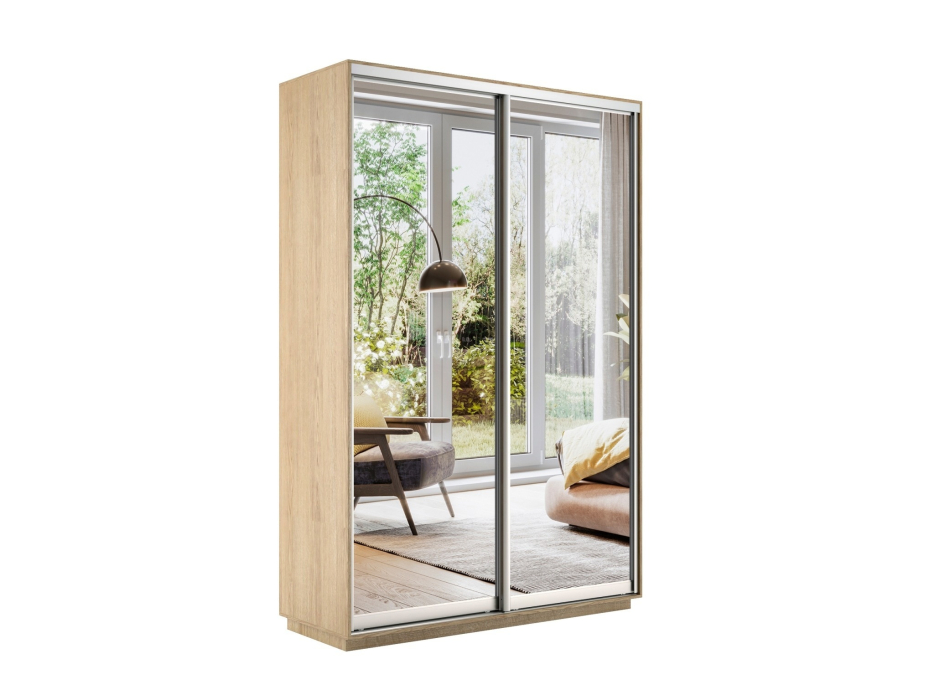 Шкафы-купе 2-х дверные, Шкаф-купе Экспресс Экспенс дуо 2400 x 1600 x 450