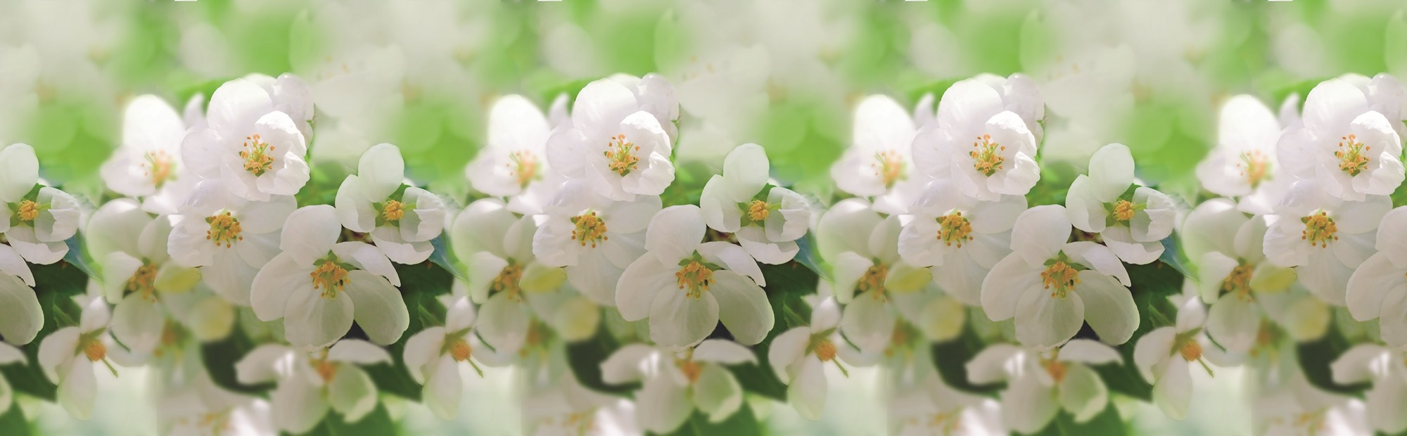 Стеновые панели из АБС-пластика, Кухонный фартук Соцветие 1000x600x1.5 мм глянец