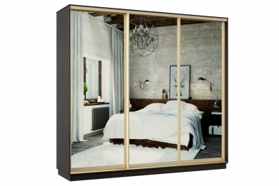 Шкаф-купе Премьер 53 Венге