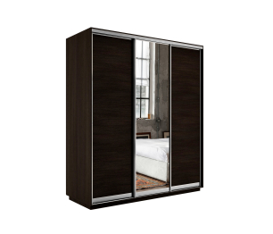 Шкаф-купе Экспресс Медиум (1 зеркало) трио 2200 x 2400 x 600