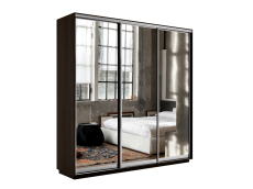 Шкафы-купе 3-х дверные, Шкаф-купе Экспресс Экспенс трио 2400 x 2100 x 450