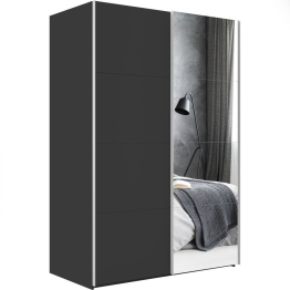 Шкаф-купе Эста ДСП+Зеркало 180х66х240