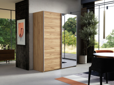 Шкафы-купе 2-х дверные, Шкаф-купе Эста ДСП+Зеркало 160х66х240