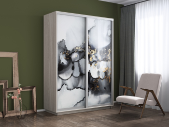 Шкаф-купе Экспресс 1001, 160х60х220