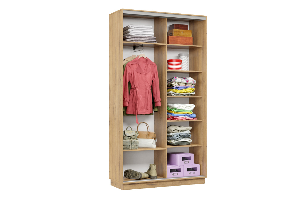 Шкафы-купе 2-х дверные, Шкаф-купе Премьер Лайт МИНИ 01 (05;05) двухдверный