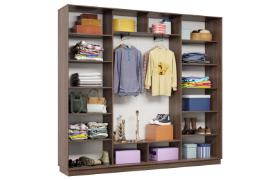 Шкаф-купе Премьер 61 (16;16;16) трёхдверный