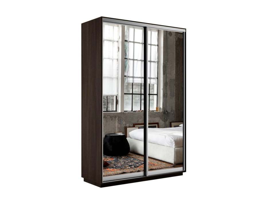 Шкафы-купе 2-х дверные, Шкаф-купе Экспресс Экспенс дуо 2400 x 1600 x 450