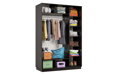 Шкаф-купе Премьер 12 (01ЗБ;01ЗБ) фасады зеркало бронза/двухдверный/Профиль чёрный муар