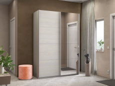 Шкафы-купе 2-х дверные, Шкаф-купе Прайм 2-х дверный ДСП/Зеркало/Доводчики 120х57х230