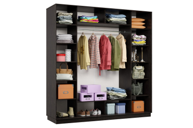 Шкаф-купе Премьер 36 венге