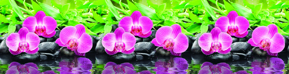 Кухонный фартук Орхидеи 1000x600x1.5 мм глянец