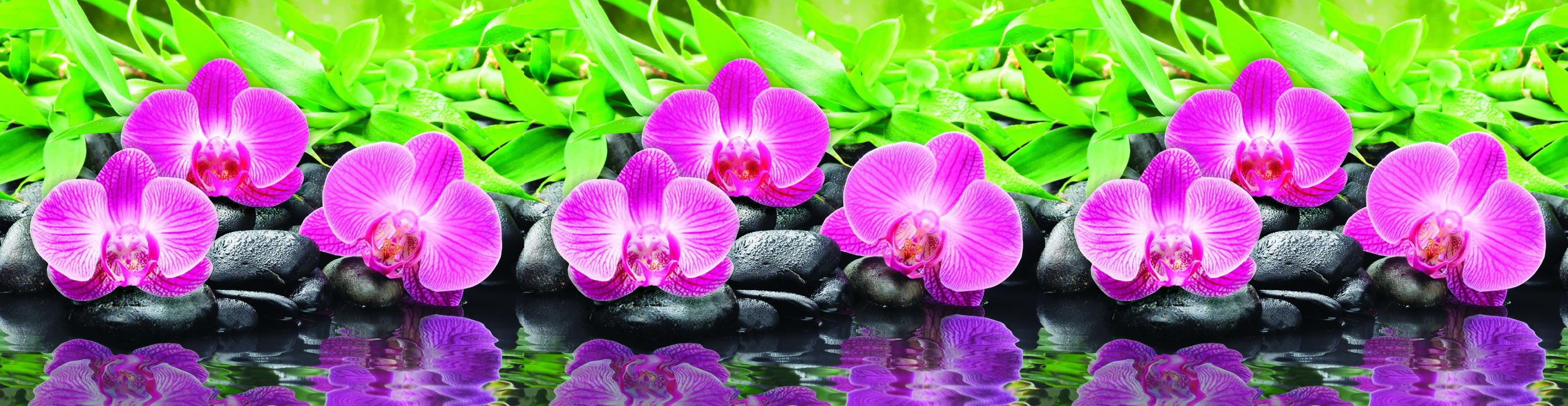 Стеновые панели из АБС-пластика, Кухонный фартук Орхидеи 1000x600x1.5 мм глянец