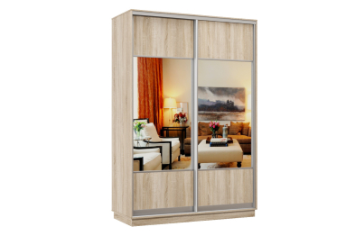 Шкаф-купе Премьер Лайт 11 (05;05) двухдверный