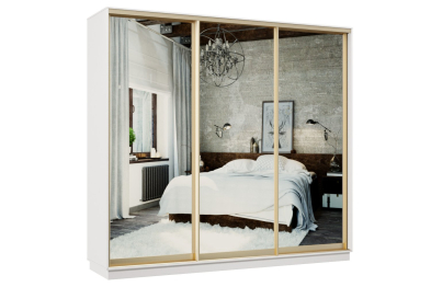 Шкаф-купе Премьер 58 белый