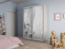 Шкафы-купе 2-х дверные, Шкаф-купе Экспресс 2-х дверный Фотопечать Шелк Стекла 120х45х240