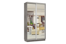 Шкафы-купе, Шкаф-купе Премьер Лайт 04 (11;11) двухдверный