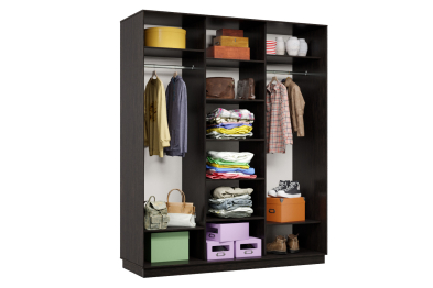 Шкаф-купе Премьер Лайт 26 (08;08;08) трехдверный