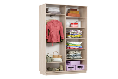 Шкаф-купе Премьер Лайт МИНИ 01 (02;01) двухдверный