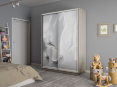 Шкафы-купе 2-х дверные, Шкаф-купе Экспресс 2-х дверный Фотопечать Шелк Стекла 120х45х220