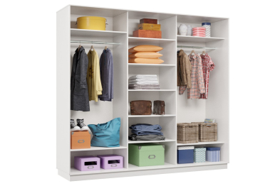 Шкаф-купе Премьер 54 Белый