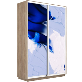 Шкаф-купе Экспресс 1010, 140х60х220