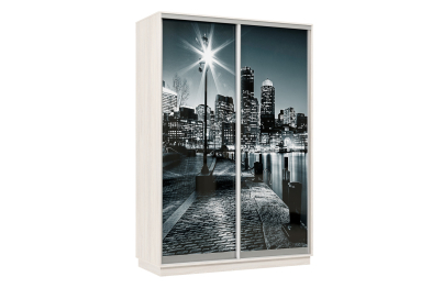 Шкаф-купе Премьер Лайт 04 Ф-1356 двухдверный