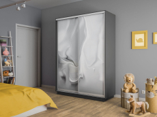 Шкафы-купе 2-х дверные, Шкаф-купе Экспресс 2-х дверный Фотопечать Шелк Стекла 140х45х240