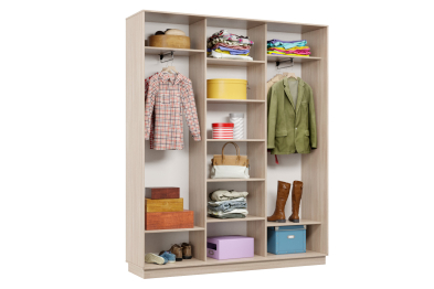 Шкаф-купе Премьер Лайт 25 (02;02;02) трехдверный