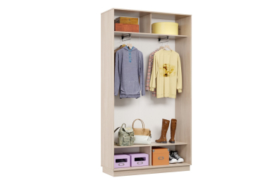 Шкаф-купе Премьер 05 (12;13) двухдверный