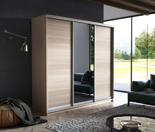 Шкаф-купе Экспресс Медиум (1 зеркало) трио 2200 x 1800 x 600