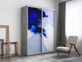 Шкаф-купе Экспресс 1010, 120х60х240