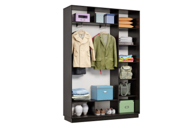 Шкаф-купе Премьер 09 (11ЗГ;11ЗГ) фасады зеркало графит/двухдверный/Профиль чёрный муар