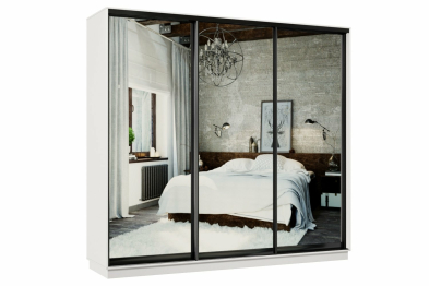 Шкаф-купе Премьер 54 Белый