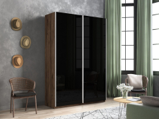 Шкафы-купе 2-х дверные, Шкаф-купе Прайм 2-х дверный Стекла черные/Доводчики 160х57х230