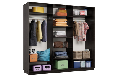 Шкаф-купе Премьер 54 (16;16;16) трёхдверный