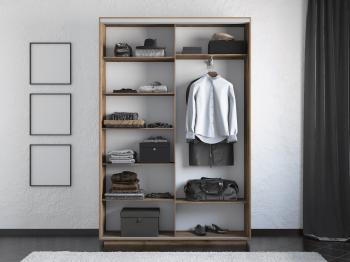 Шкаф-купе Экспресс 2-х дверный Фотопечать Шелк Стекла 160х45х240