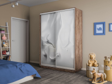 Шкафы-купе 2-х дверные, Шкаф-купе Экспресс 2-х дверный Фотопечать Шелк Стекла 120х60х220