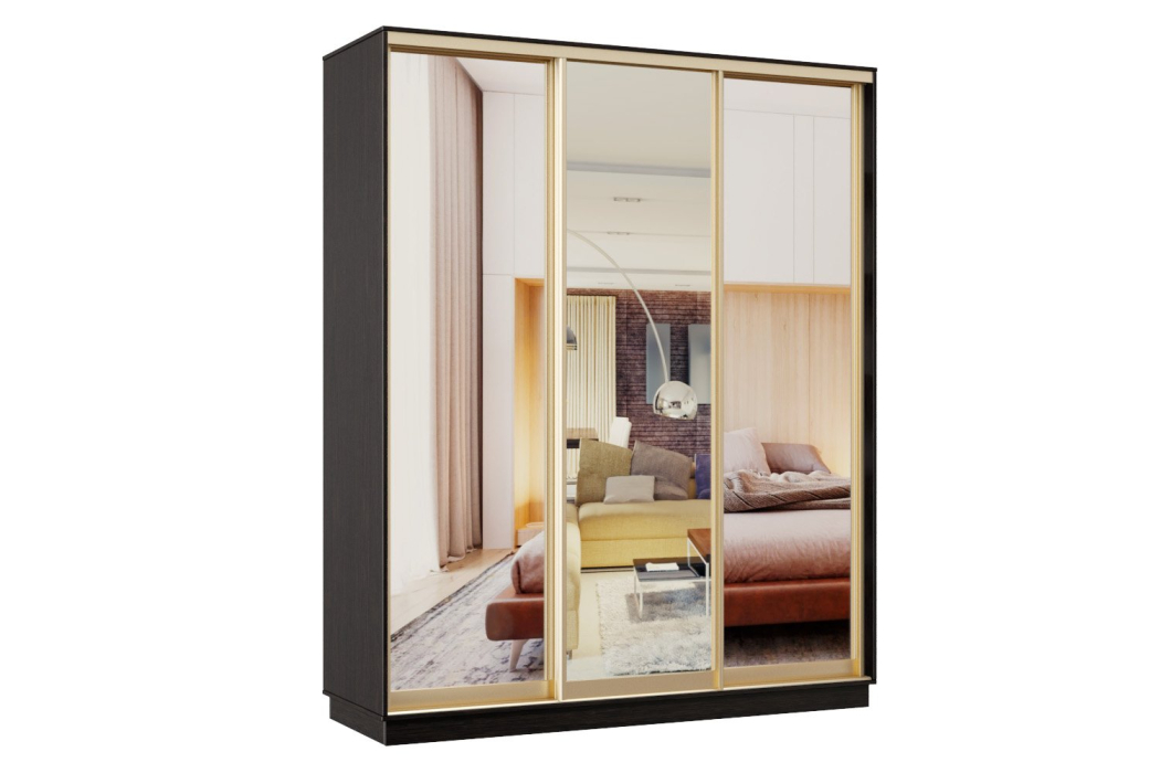 Шкафы-купе, Шкаф-купе Премьер 31 венге