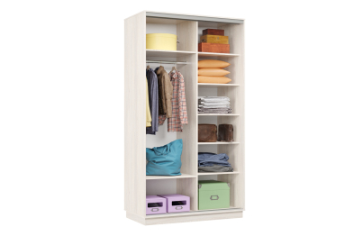 Шкаф-купе Премьер Лайт МИНИ 04 (11;11) двухдверный