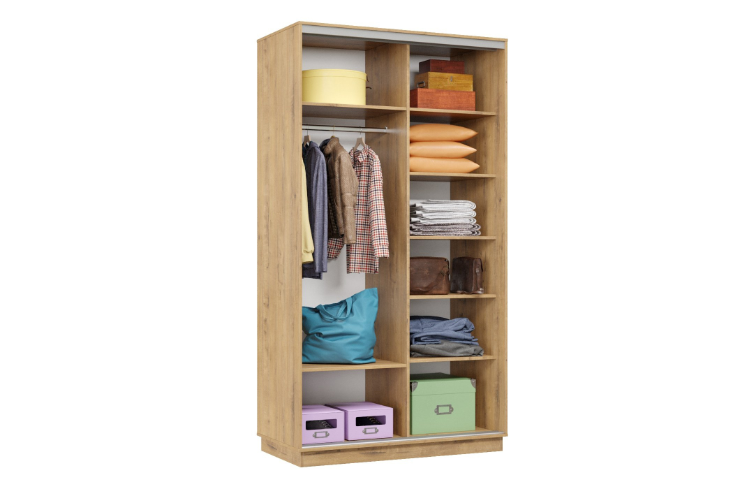 Шкафы-купе 2-х дверные, Шкаф-купе Премьер Лайт МИНИ 04 (05;05) двухдверный