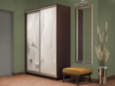 Шкафы-купе 2-х дверные, Шкаф-купе Экспресс 2-х дверный Фотопечать Шелк Стекла 120х45х220
