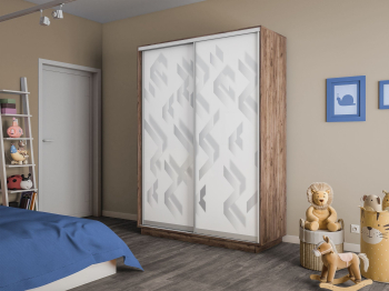 Шкаф-купе Экспресс 2-х дверный Фотопечать Ленты Стекла 120х45х220