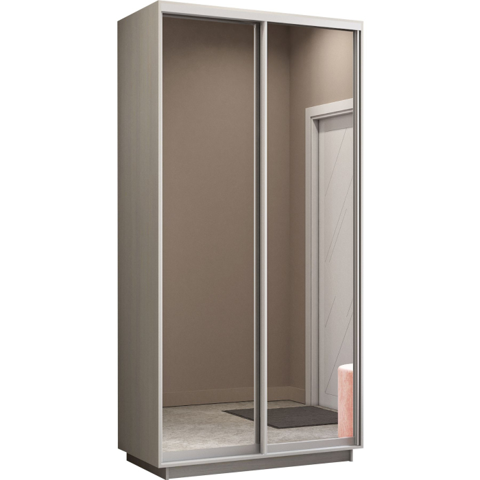 Шкафы-купе 2-х дверные, Шкаф-купе Экспресс Экспенс дуо 2200 x 1200 x 450