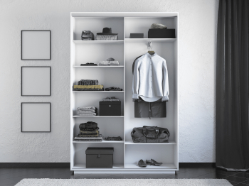 Шкаф-купе Экспресс 2-х дверный Фотопечать Шелк Стекла 120х45х240