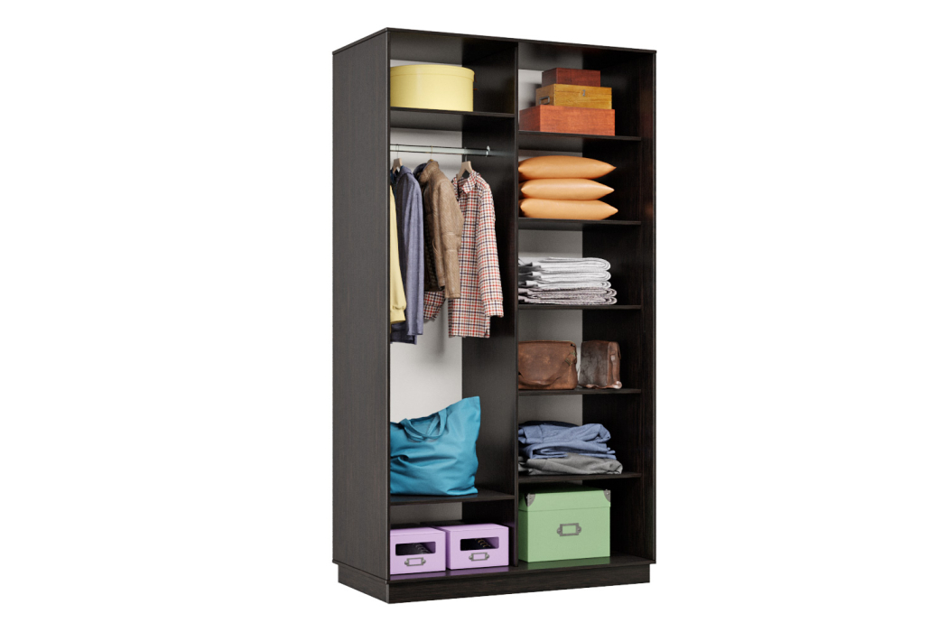 Шкафы-купе, Шкаф-купе Премьер Лайт 02 Мини (05;05) двухдверный