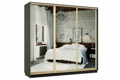 Шкаф-купе Премьер 55 Венге