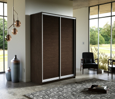 Шкафы-купе, Шкаф-купе Экспресс Элемент дуо 2400 x 1600 х 600