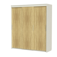 Шкафы-купе 3-х дверные, Шкаф-купе шк-22