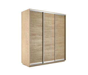 Шкаф-купе Экспресс Элемент трио 2200 x 2100 x 600