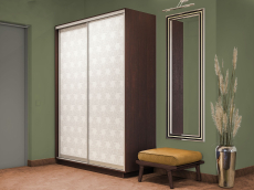 Шкафы-купе 2-х дверные, Шкаф-купе Экспресс 2-х дверный Фотопечать Калейдоскоп Стекла 120х45х220